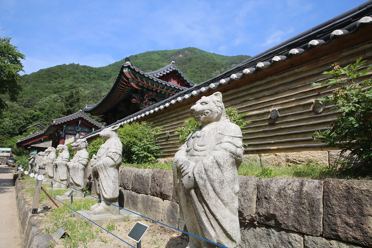 MG0A0691_новый размер.JPG