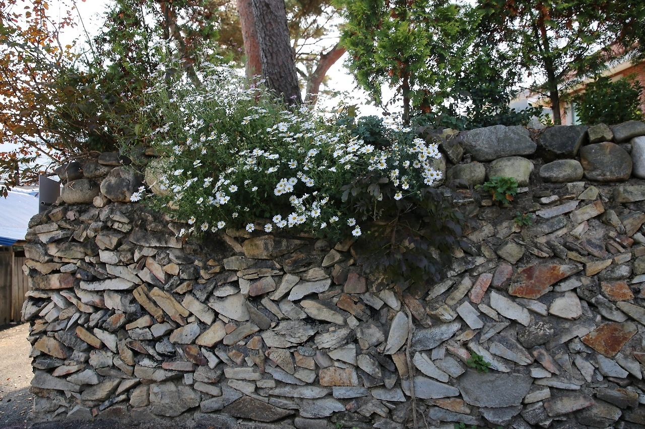 MG0A9118_новый размер.JPG