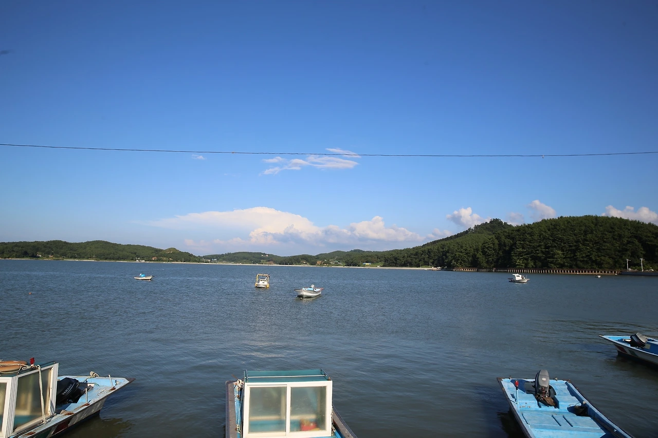 MG0A9267_новый размер.JPG