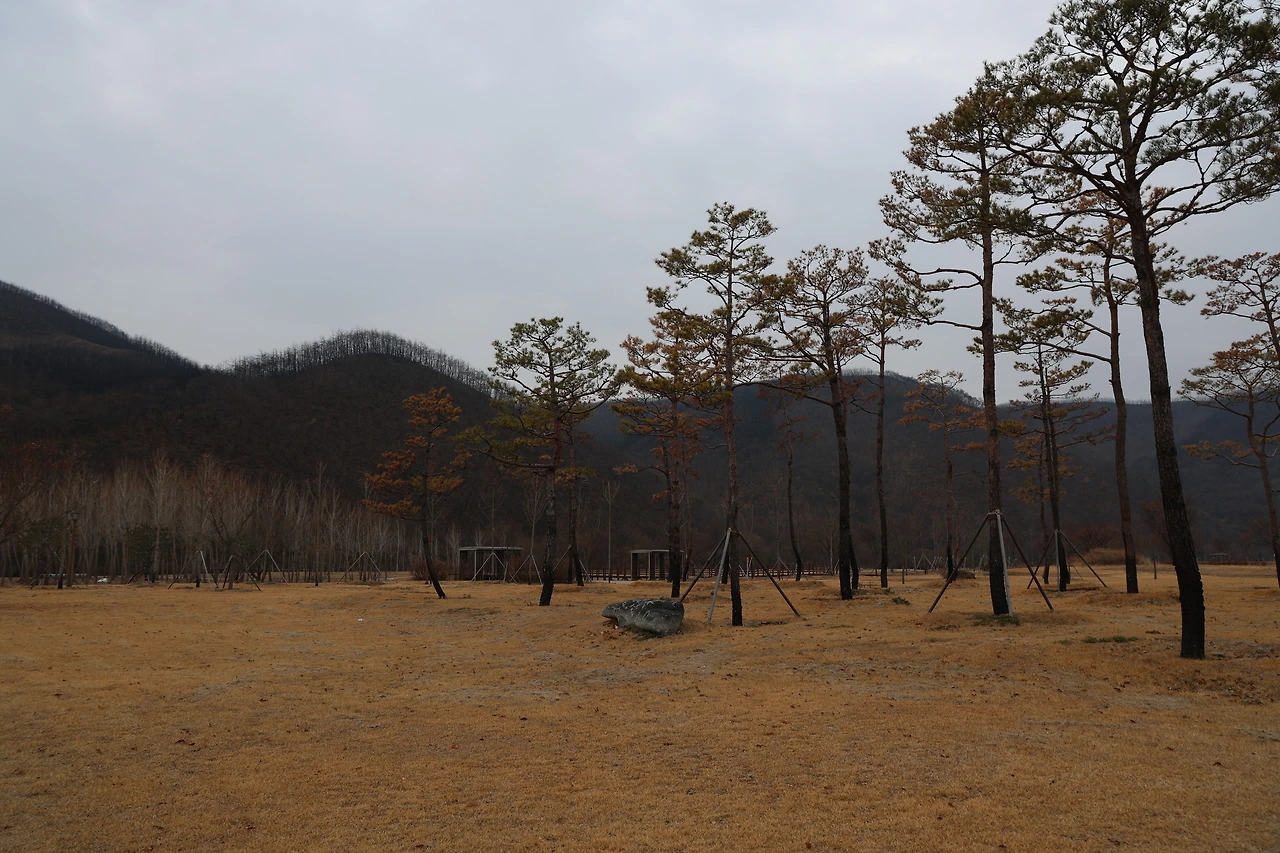 0R5A6629_новый размер.JPG