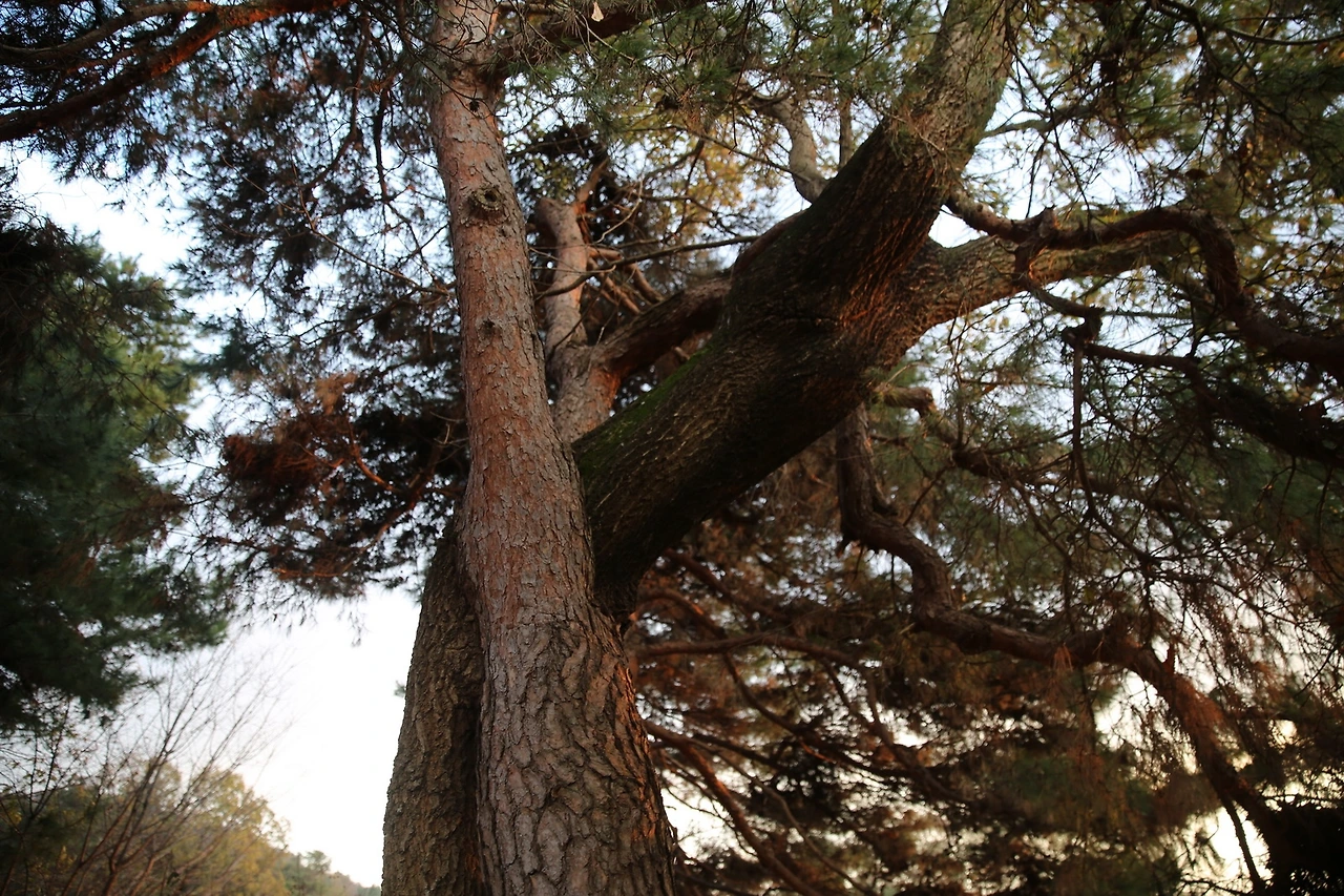 MG0A1317_новый размер.JPG