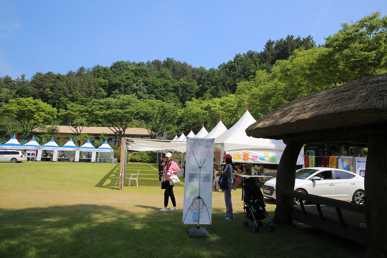 MG0A6472_новый размер.JPG