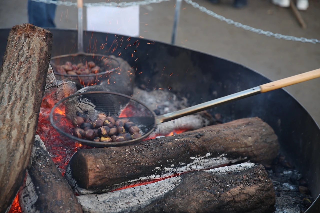 MG0A8787_новый размер.JPG