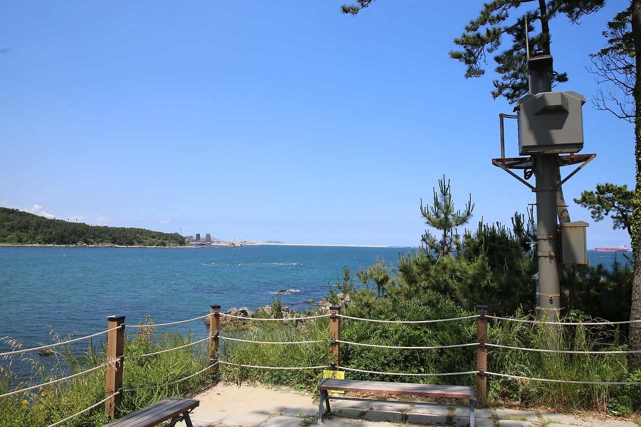 MG0A5920_новый размер.JPG