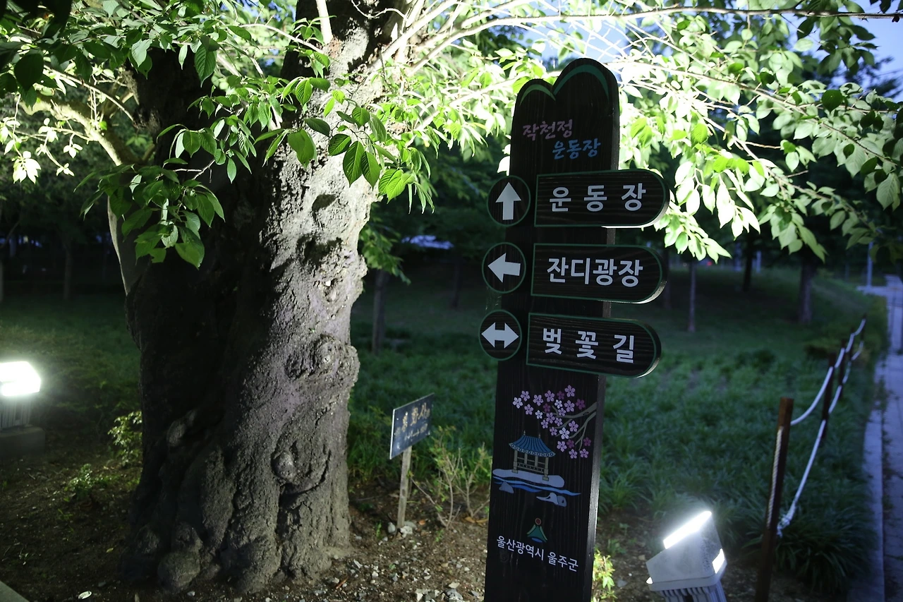 MG0A5596_новый размер.JPG