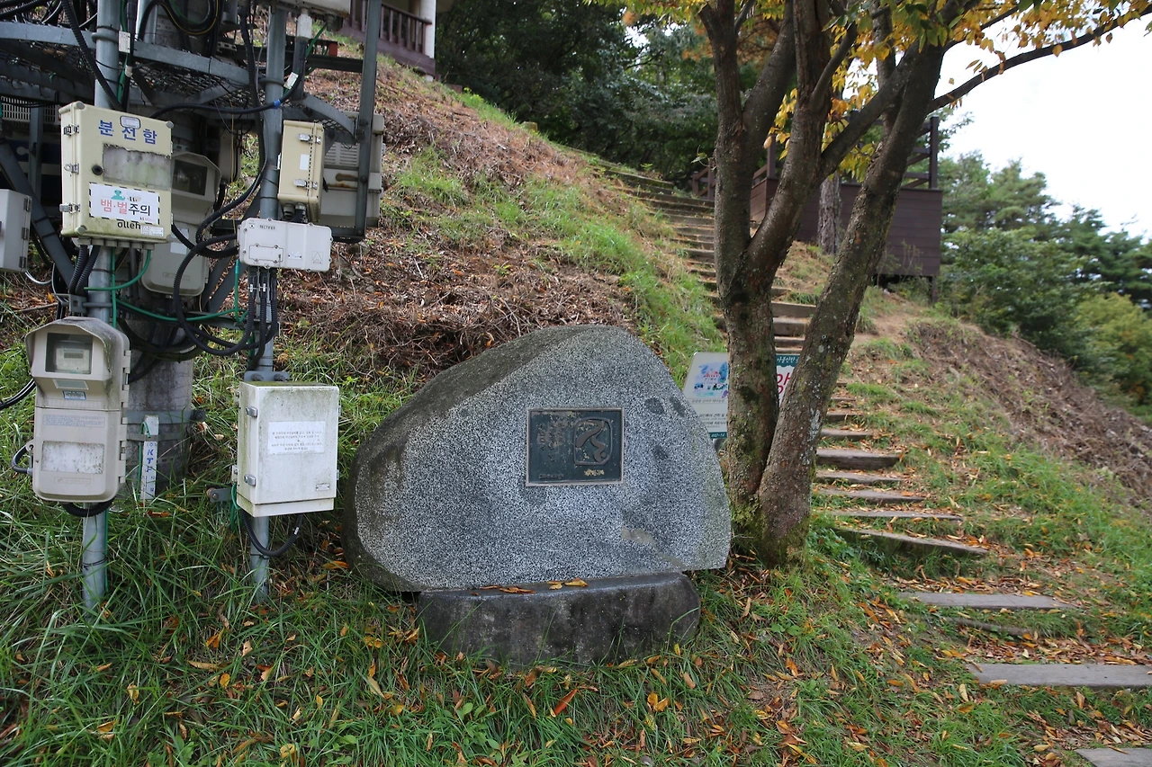 MG0A7811_новый размер.JPG