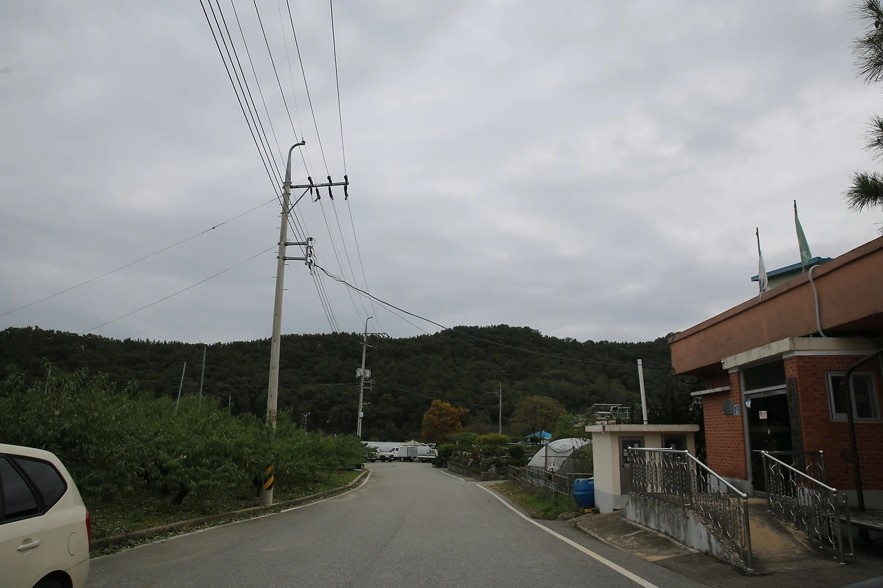 MG0A6601_новый размер.JPG