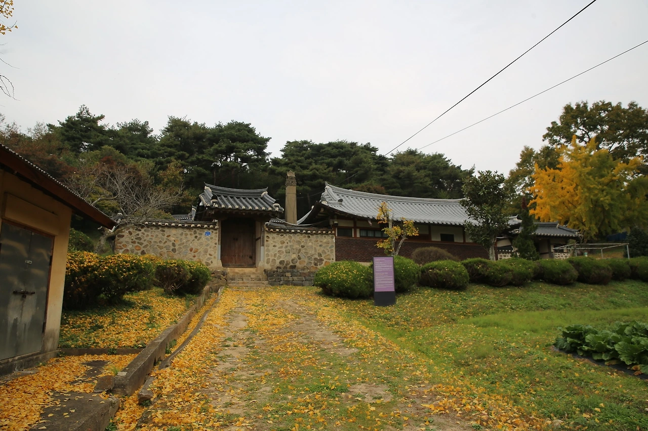 MG0A9733_новый размер.JPG