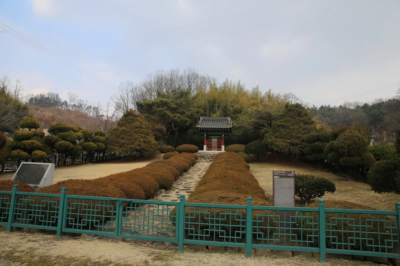 MG0A9746_новый размер.JPG