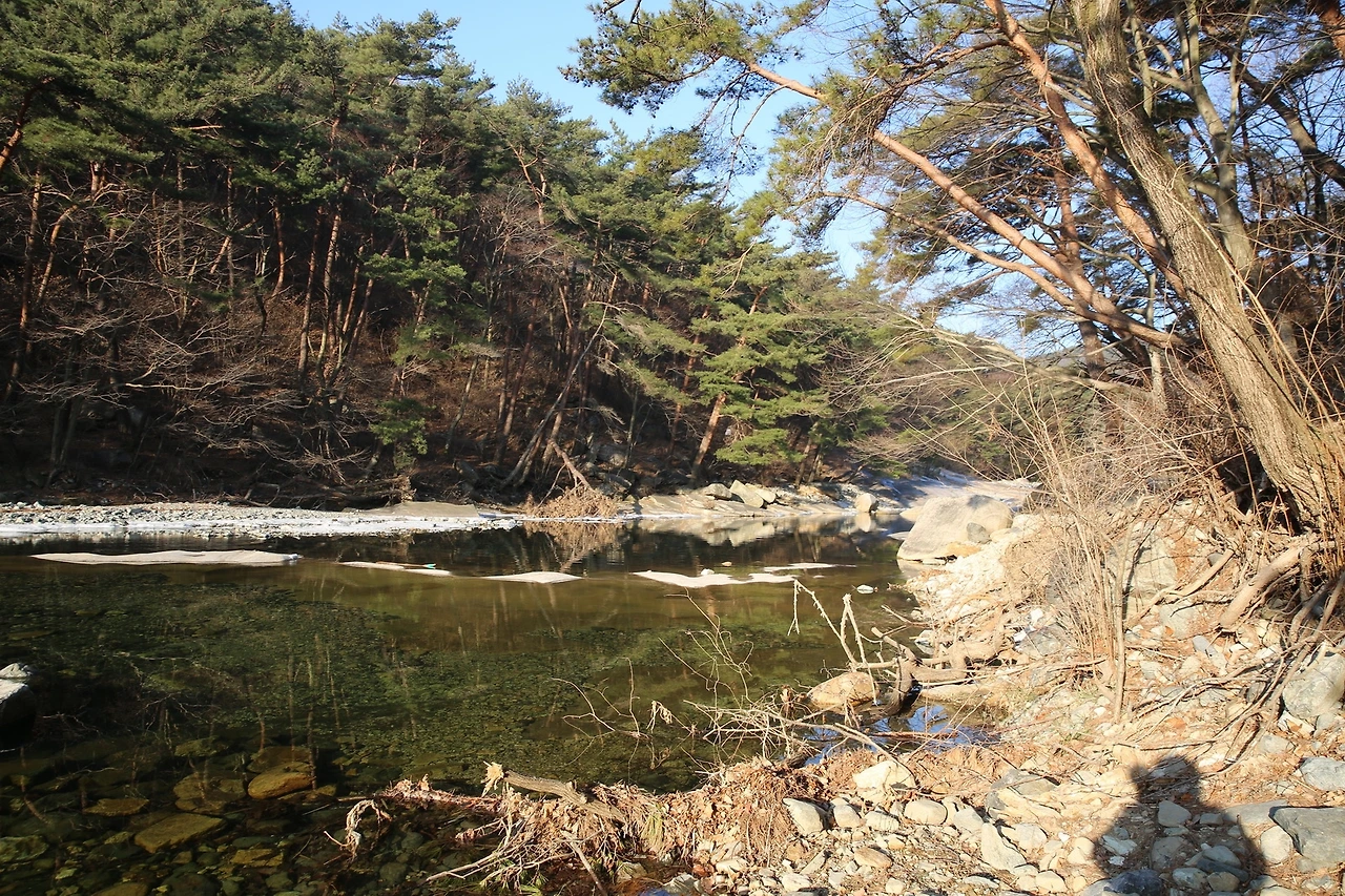 MG0A7629_новый размер.JPG