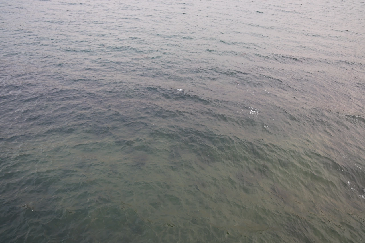 0R5A7816_новый размер.JPG