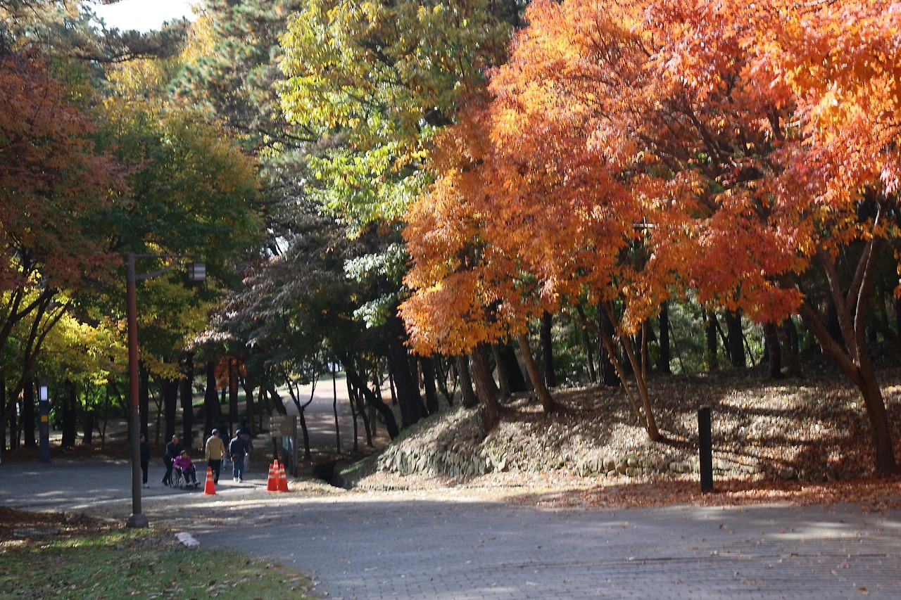 0R5A2400_новый размер.JPG