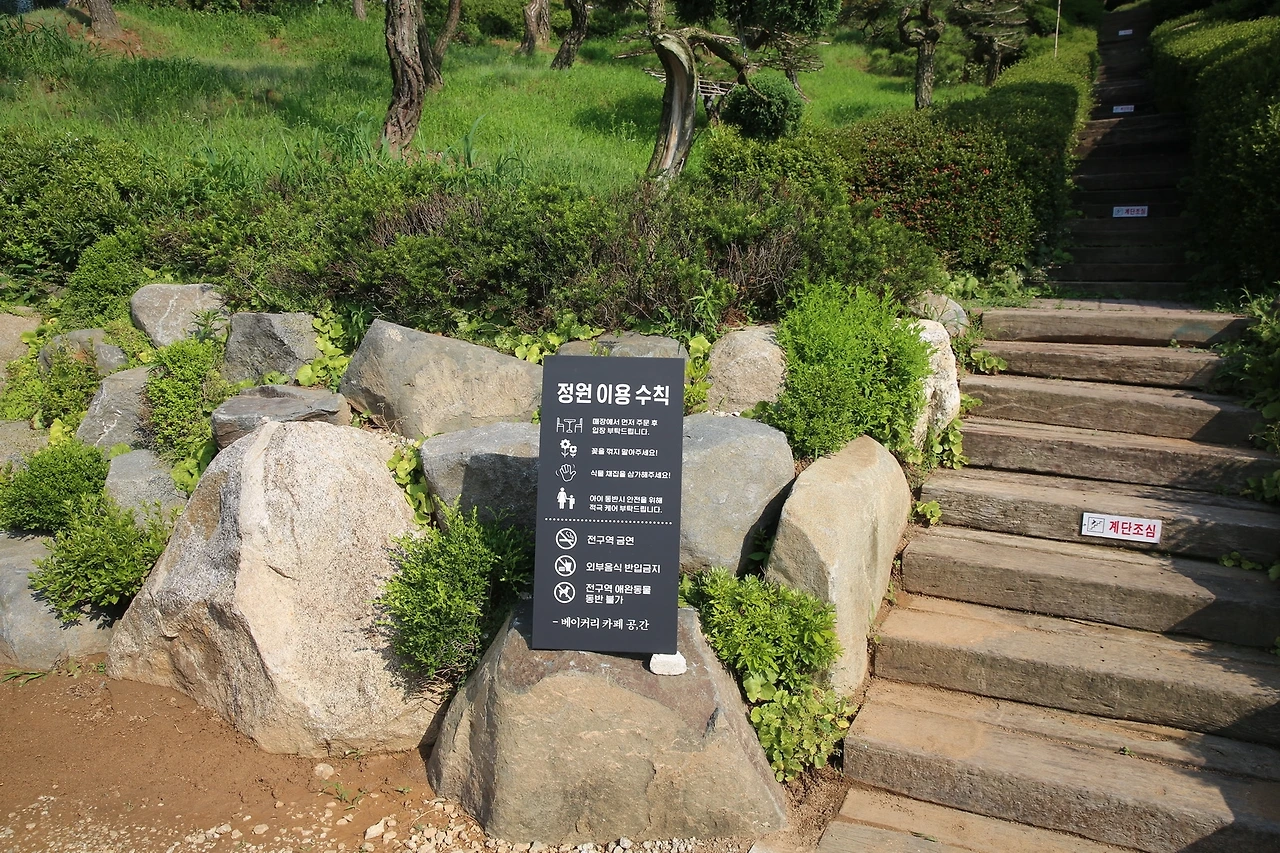 MG0A3096_новый размер.JPG