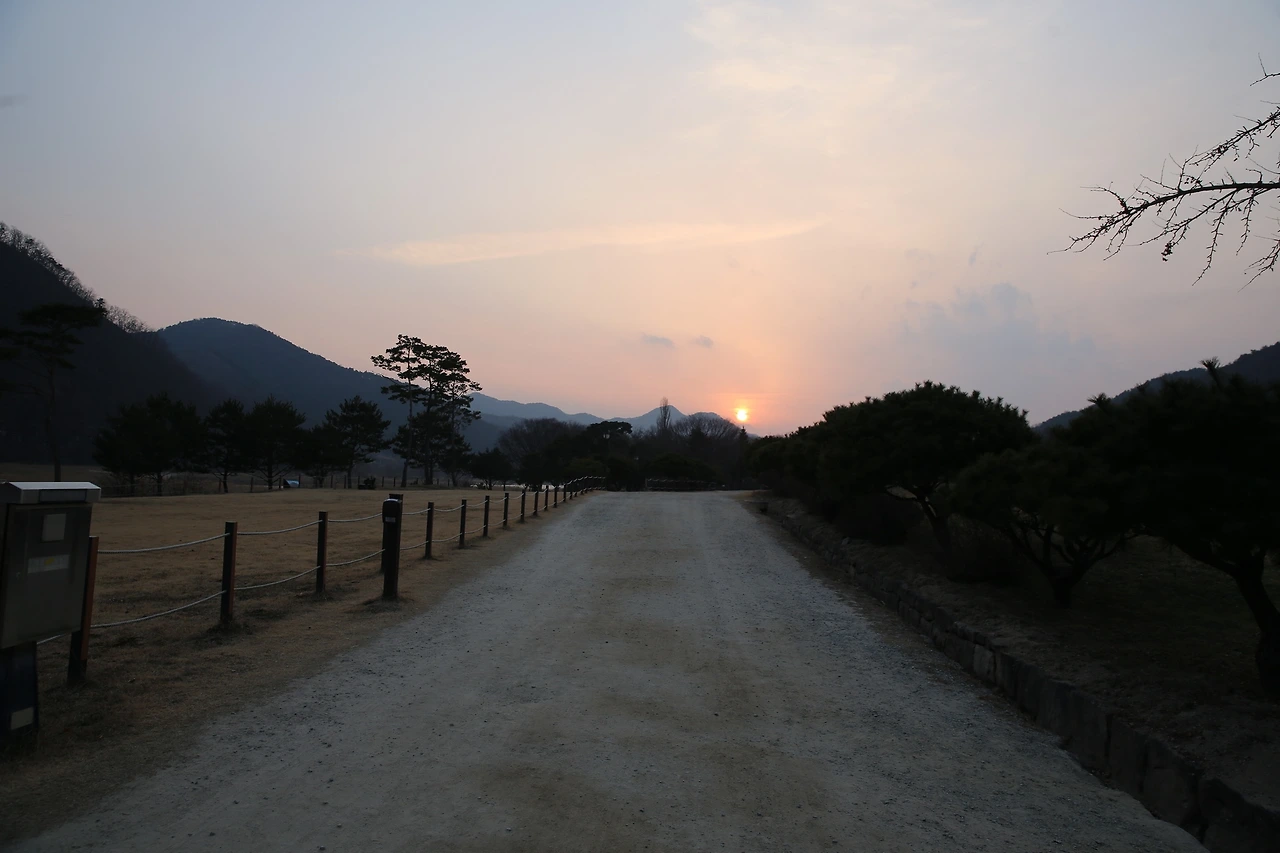 MG0A6491_новый размер.JPG