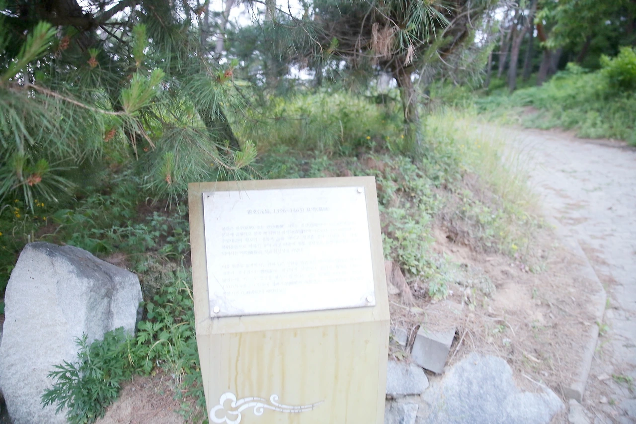 MG0A1209_новый размер_exposure.JPG