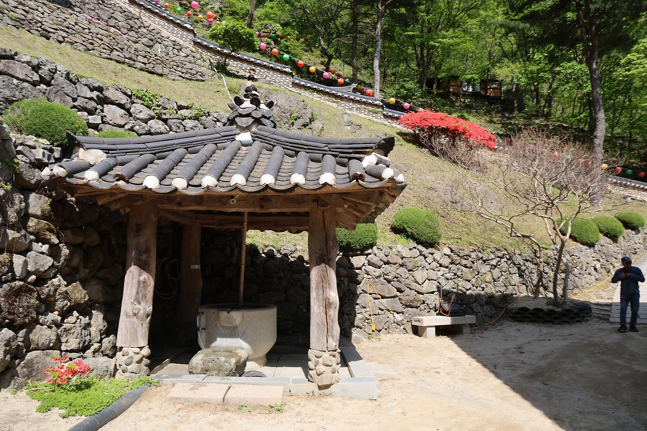 0R5A9617_новый размер.JPG