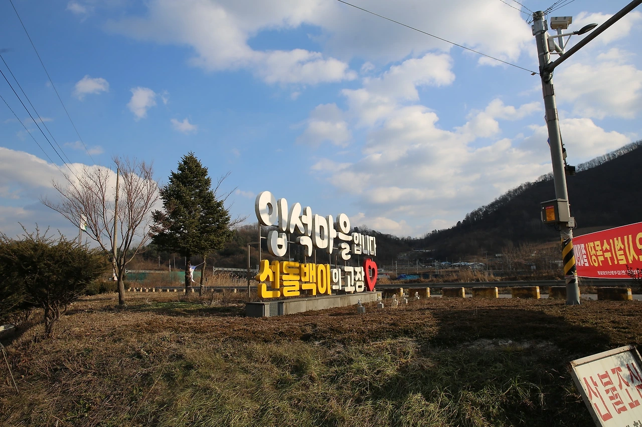 MG0A4918_новый размер.JPG