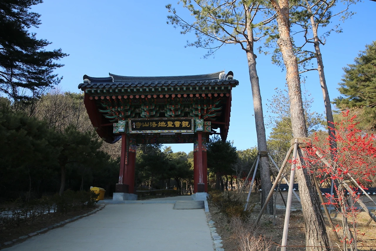 MG0A6498_новый размер.JPG