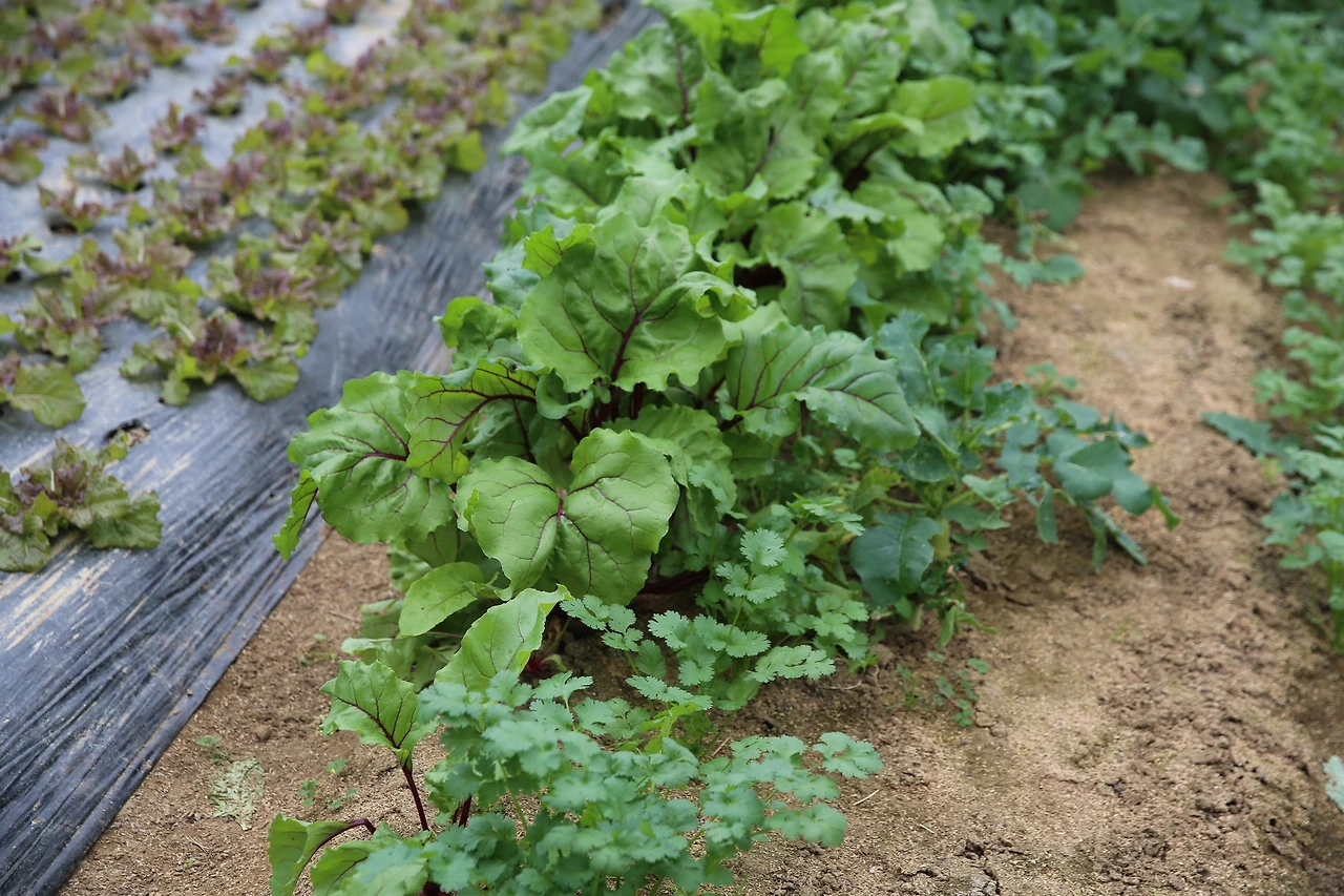 MG0A8769_новый размер.JPG