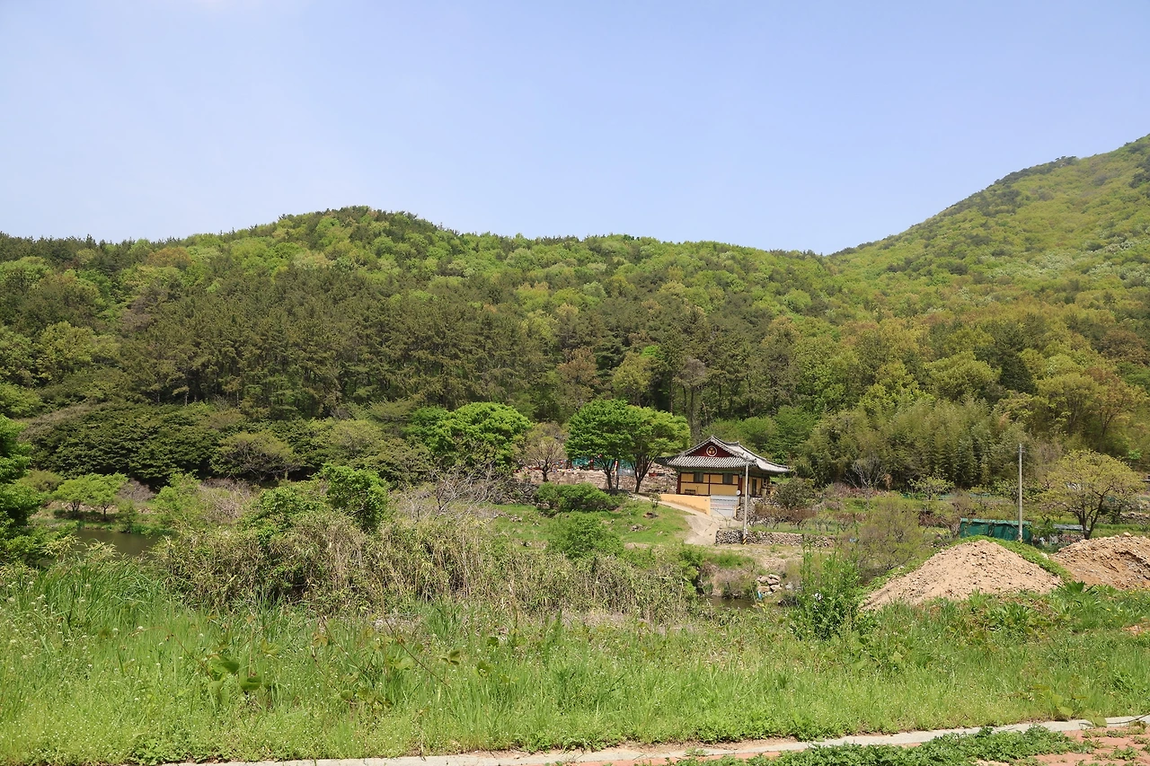 0R5A8065_новый размер.JPG