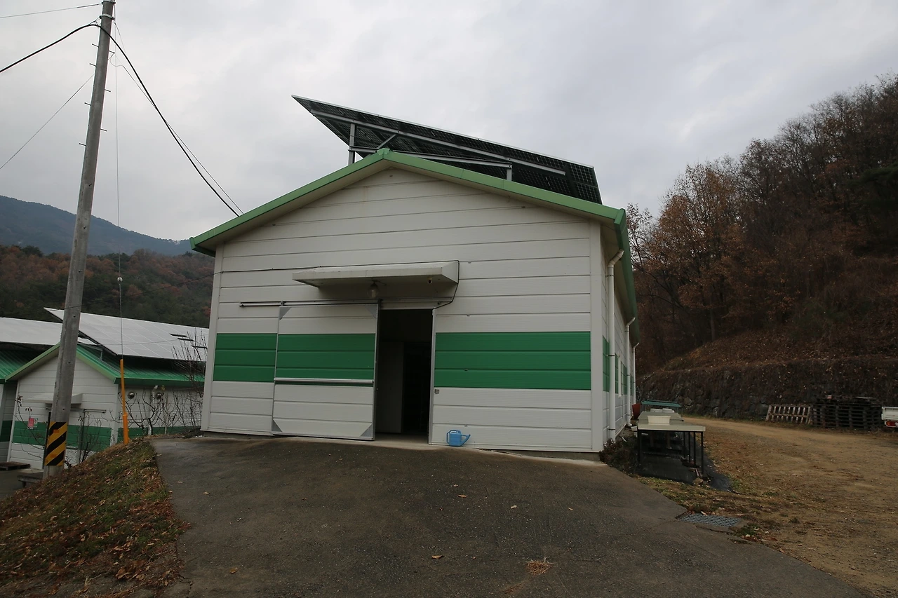 MG0A2887_новый размер.JPG