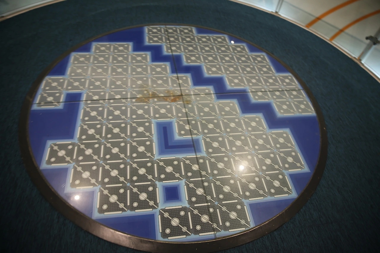 MG0A6447_новый размер.JPG