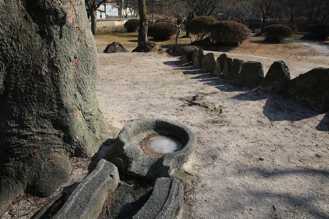 MG0A8074_новый размер.JPG