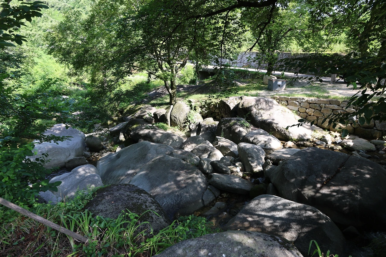 0R5A7927_новый размер.JPG