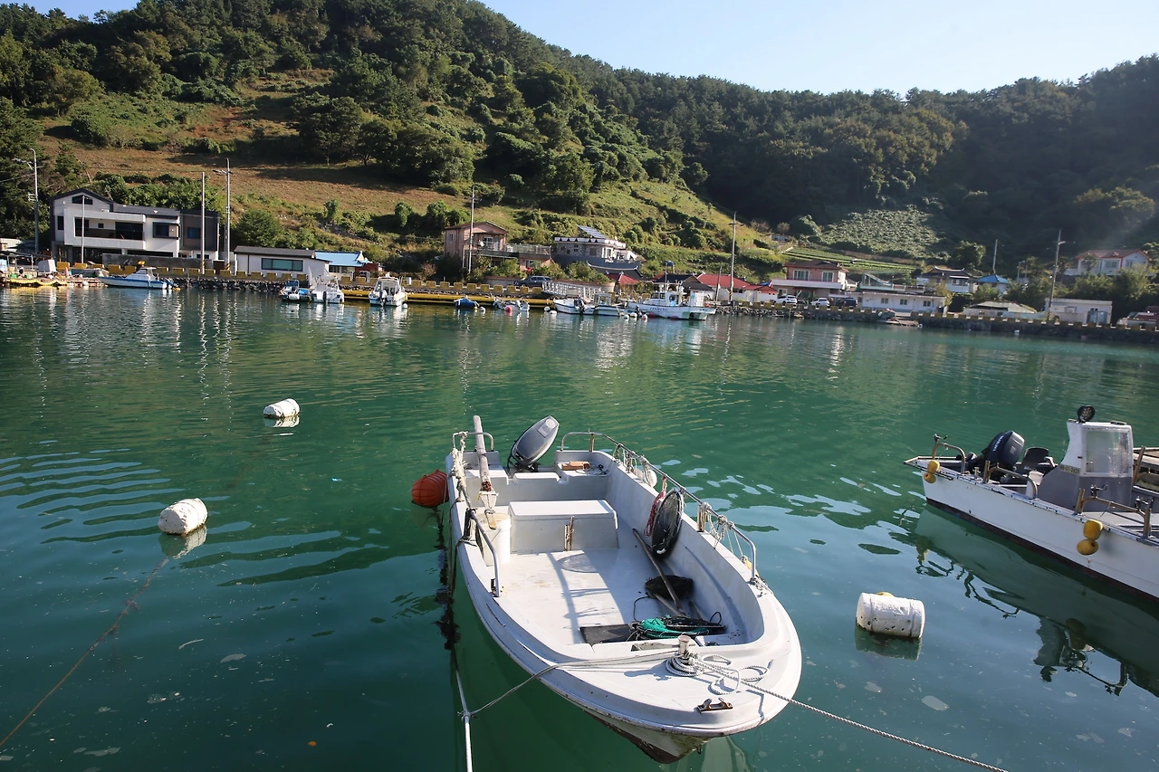 MG0A9096_новый размер.JPG