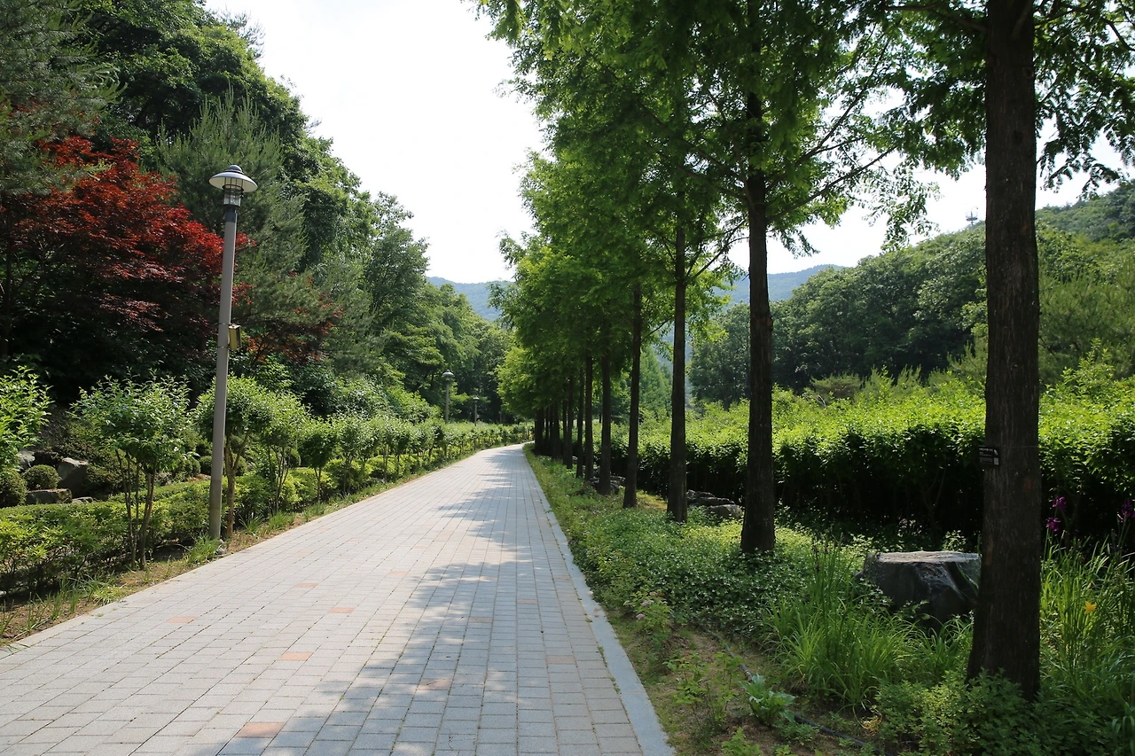 MG0A6356_новый размер.JPG