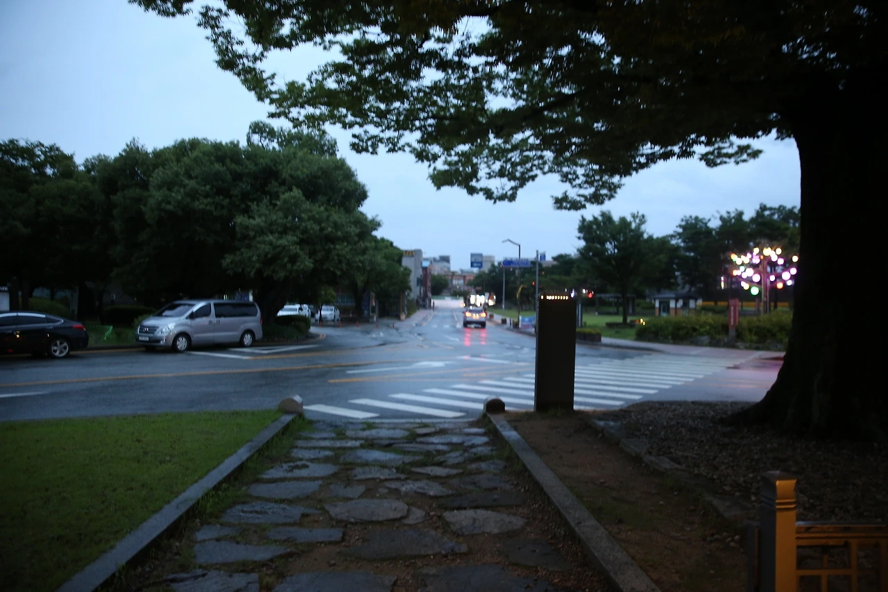 MG0A2997_новый размер.JPG