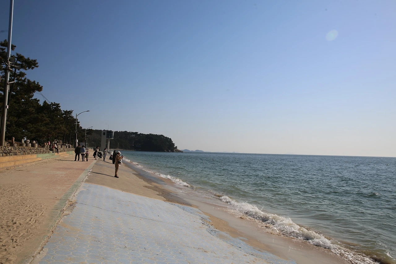 MG0A3493_новый размер.JPG