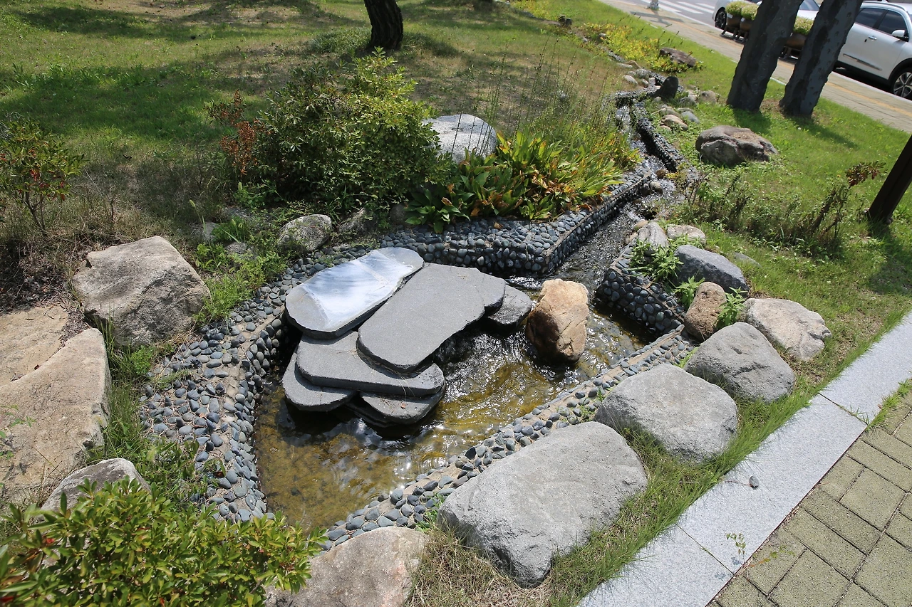 MG0A0252_новый размер.JPG