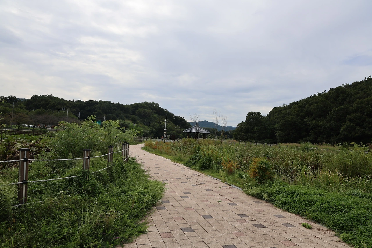 0R5A7754_новый размер.JPG