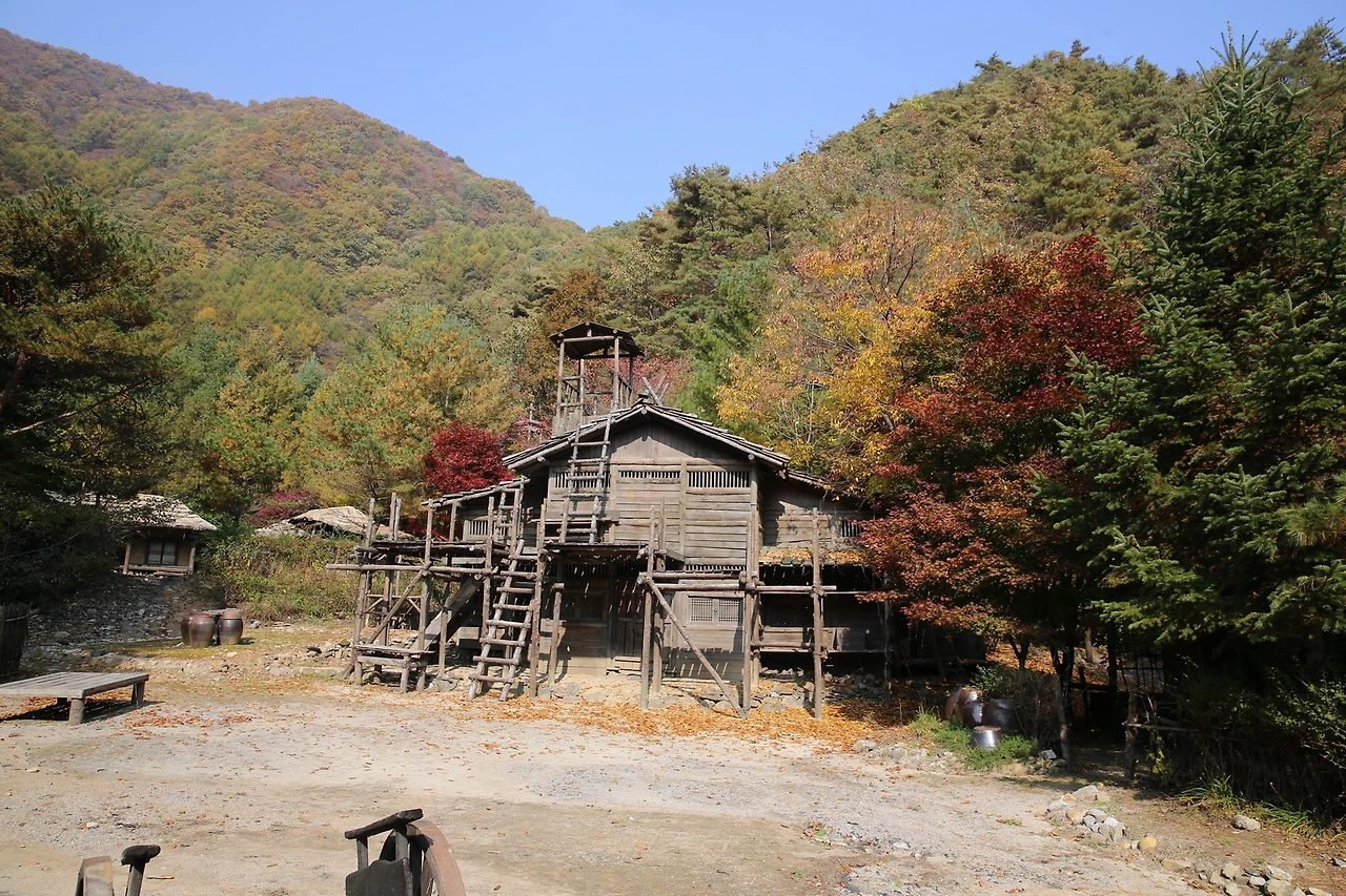 MG0A8015_новый размер.JPG