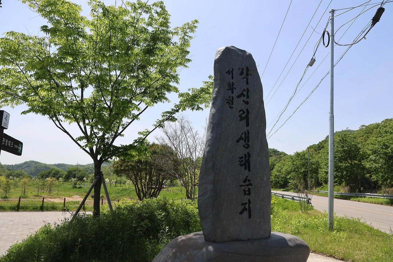 0R5A9930_новый размер.JPG