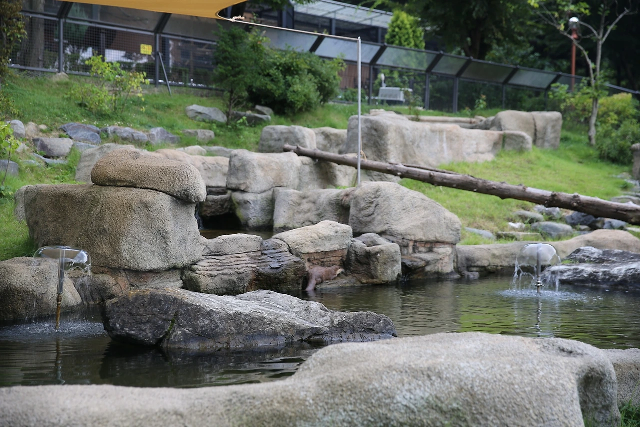 MG0A9603_новый размер.JPG