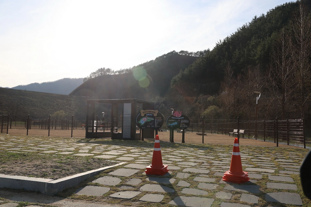 0R5A4880_новый размер.JPG