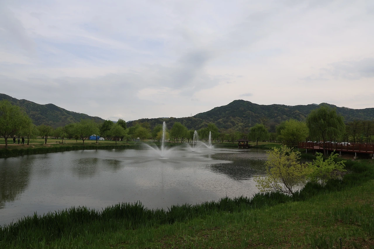 0R5A7555_новый размер.JPG