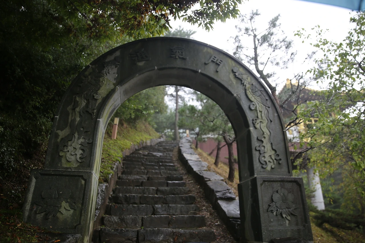 MG0A3220_новый размер.JPG