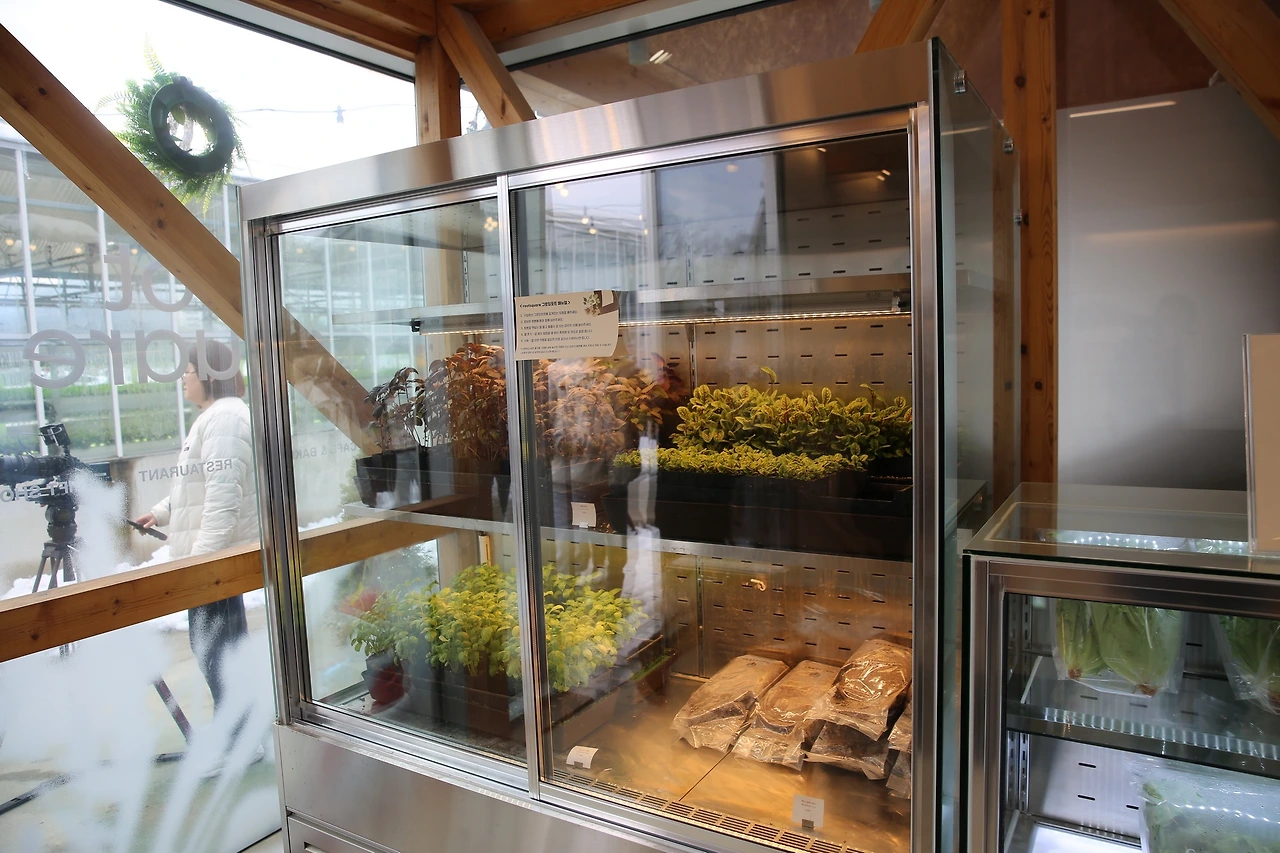 MG0A2380_новый размер.JPG