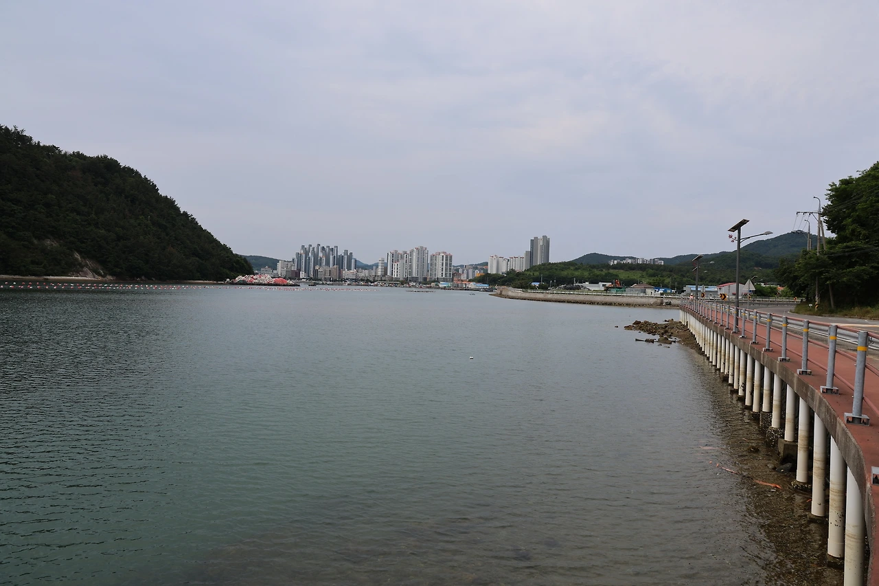 0R5A4339_новый размер.JPG