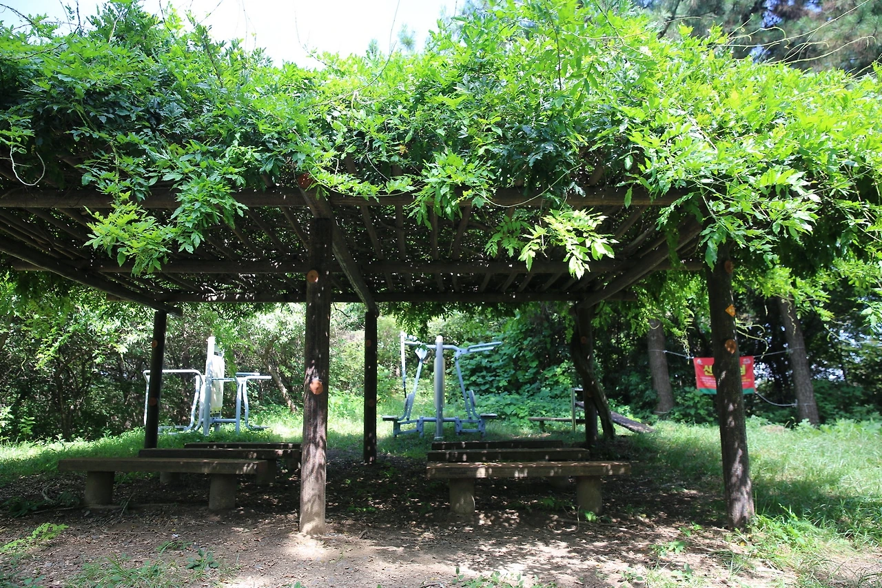 MG0A9243_новый размер.JPG