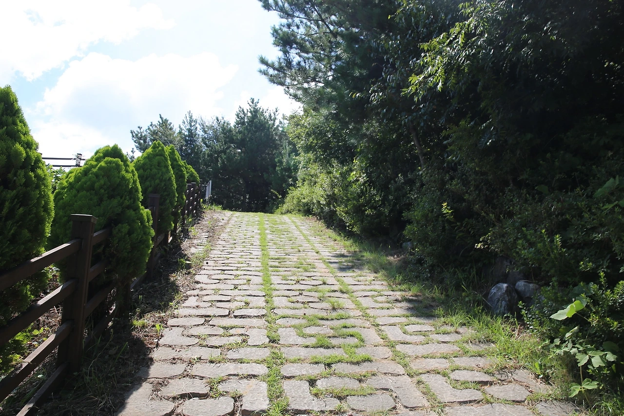 MG0A9247_новый размер.JPG