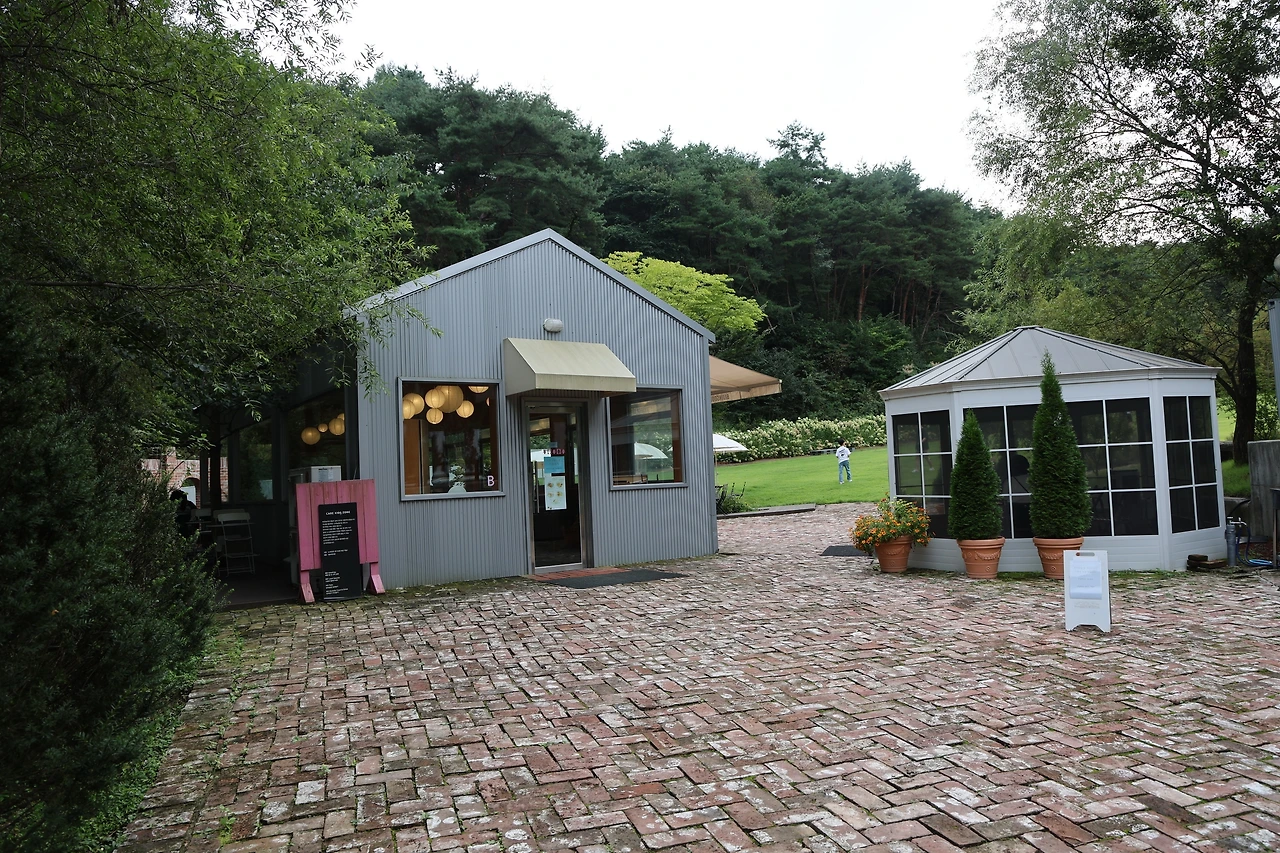 0R5A6177_новый размер.JPG