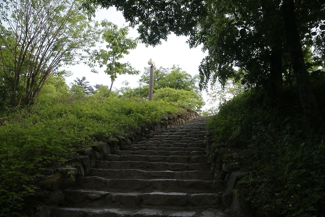 MG0A9407_новый размер.JPG