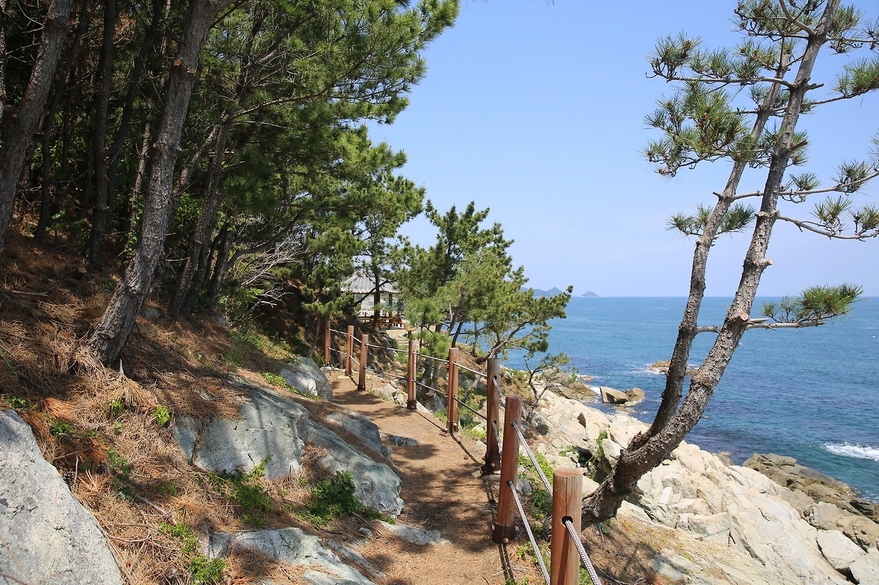 MG0A9269_новый размер.JPG