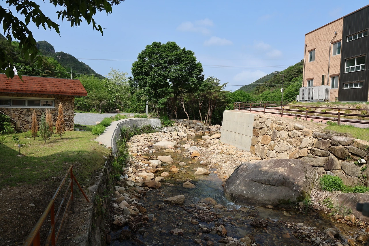 0R5A1323_новый размер.JPG