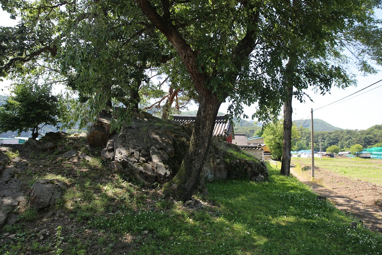 MG0A4154_новый размер.JPG