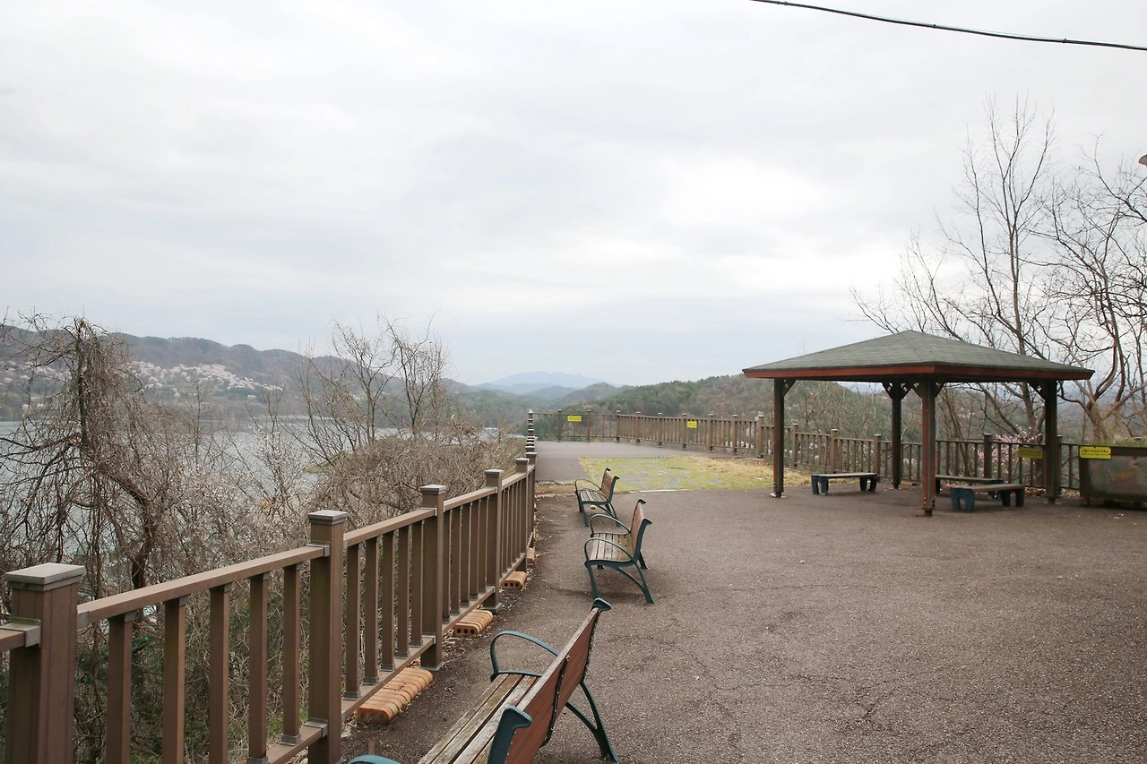 MG0A8186_новый размер_exposure.JPG